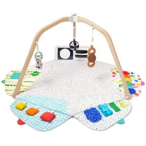 Interactive Multi-Color Play Gym for Kids